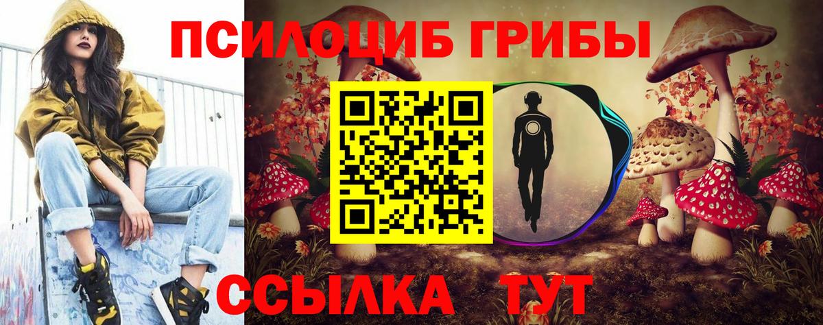 Галлюциногенные грибы Psilocybe  Вход с VPN  Псилоцибиновые грибы Magic Shrooms  Еманжелинск 